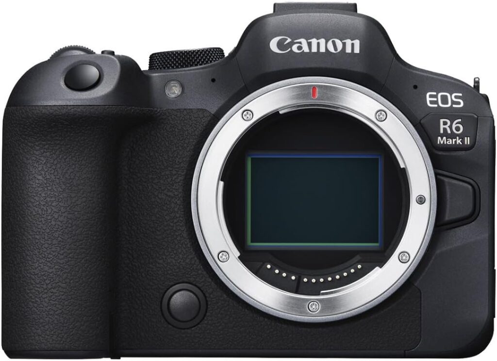 6 Best Canon EOS Cameras for Every Need